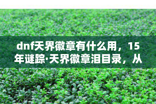 dnf天界徽章有什么用,15年谜踪·天界徽章泪目录,从辉煌到尘封的时光密码 dnf天界徽章有什么用,15年谜踪·天界徽章泪目录,从辉煌到尘封的时光密码
