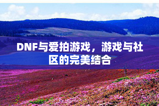 游戏与社区的完美结合图片