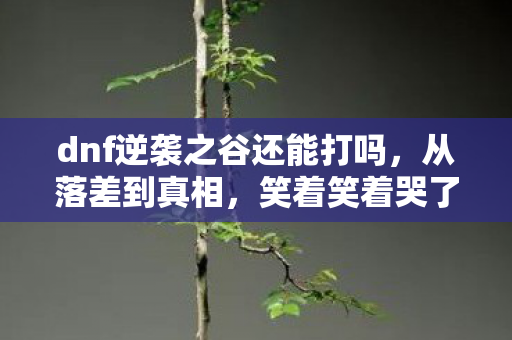 dnf逆袭之谷还能打吗,从落差到真相,笑着笑着哭了,逆袭之谷竟成我最后的避风港 dnf逆袭之谷还能打吗,从落差到真相,笑着笑着哭了,逆袭之谷竟成我最后的避风港