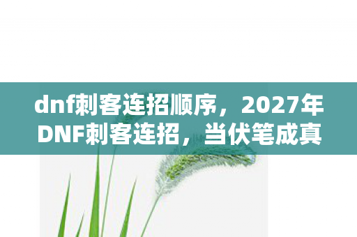 dnf刺客连招顺序,2027年DNF刺客连招,当伏笔成真时,我鼻子一酸删掉了整个青春 dnf刺客连招顺序,2027年DNF刺客连招,当伏笔成真时,我鼻子一酸删掉了整个青春