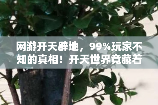 网游开天辟地,99%玩家不知的真相!开天世界竟藏着让99%人破防的残酷法则 网游开天辟地,99%玩家不知的真相!开天世界竟藏着让99%人破防的残酷法则