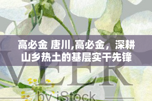 高必金 唐川,高必金,深耕山乡热土的基层实干先锋 高必金 唐川,高必金,深耕山乡热土的基层实干先锋