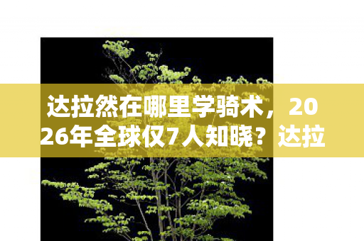 达拉然在哪里学骑术,2026年全球仅7人知晓?达拉然坐标竟藏惊天秘密! 达拉然在哪里学骑术,2026年全球仅7人知晓?达拉然坐标竟藏惊天秘密!