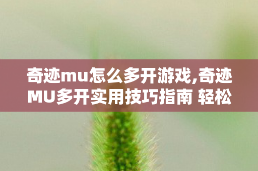 奇迹mu怎么多开游戏,奇迹MU多开实用技巧指南 轻松满足多账号游玩需求 奇迹mu怎么多开游戏,奇迹MU多开实用技巧指南 轻松满足多账号游玩需求