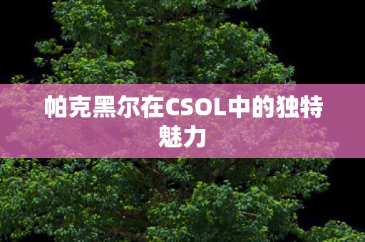 帕克黑尔在CSOL中的独特魅力图片