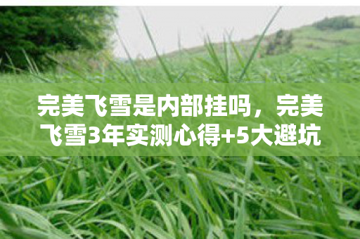 完美飞雪是内部挂吗，完美飞雪3年实测心得+5大避坑指南，解锁雪场高阶玩家秘籍