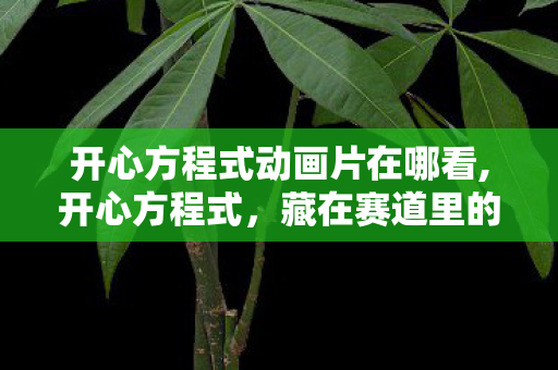 开心方程式动画片在哪看,开心方程式,藏在赛道里的童年快乐密码 开心方程式动画片在哪看,开心方程式,藏在赛道里的童年快乐密码