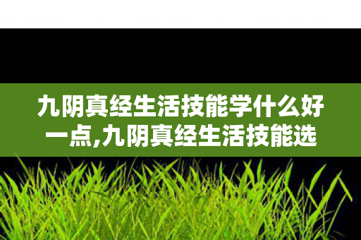 九阴真经生活技能学什么好一点,九阴真经生活技能选择指南,不同玩法取向最优搭配推荐 九阴真经生活技能学什么好一点,九阴真经生活技能选择指南,不同玩法取向最优搭配推荐