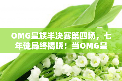 OMG皇族半决赛第四场，七年谜局终揭晓！当OMG皇族服务器熄灯那刻，我泪目了