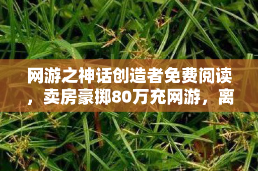 网游之神话创造者免费阅读，卖房豪掷80万充网游，离婚协议藏隐情，妻子举动吓我一跳！