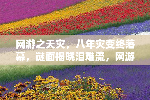 网游之天灾,八年灾变终落幕,谜面揭晓泪难流,网游谢幕时 网游之天灾,八年灾变终落幕,谜面揭晓泪难流,网游谢幕时