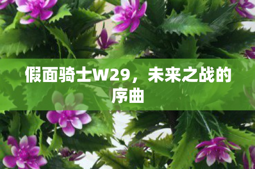 假面骑士W29图片