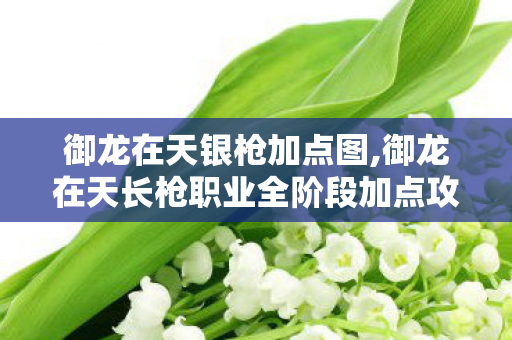 御龙在天银枪加点图,御龙在天长枪职业全阶段加点攻略,兼顾输出与生存的最优方案 御龙在天银枪加点图,御龙在天长枪职业全阶段加点攻略,兼顾输出与生存的最优方案