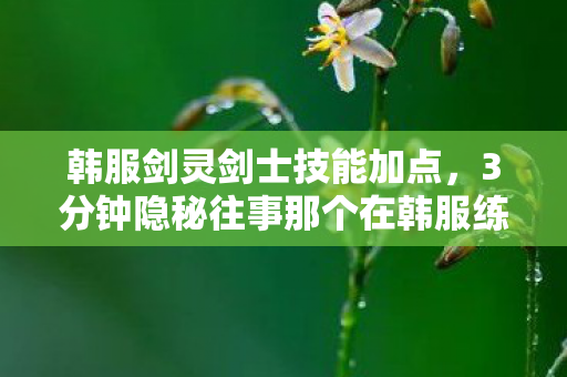 韩服剑灵剑士技能加点，3分钟隐秘往事那个在韩服练剑到哽咽的深夜，你还记得吗？