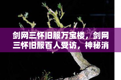 剑网三怀旧服万宝楼，剑网三怀旧服百人受访，神秘消失的装备？网吧老炮绷不住泪洒当场