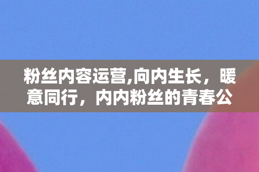 粉丝内容运营,向内生长，暖意同行，内内粉丝的青春公益纪实