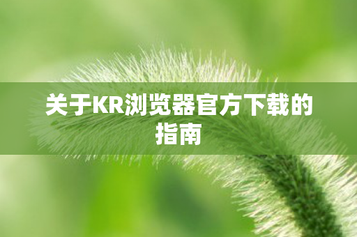 关于KR浏览器官方下载的指南图片