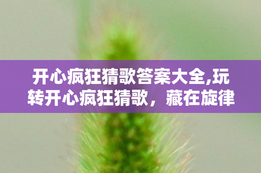 开心疯狂猜歌答案大全,玩转开心疯狂猜歌,藏在旋律里的青春共鸣与通关小乐趣 开心疯狂猜歌答案大全,玩转开心疯狂猜歌,藏在旋律里的青春共鸣与通关小乐趣