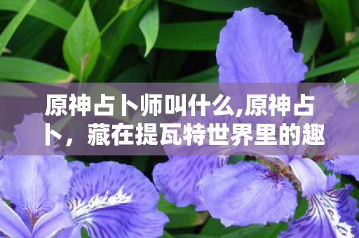 原神占卜师叫什么,原神占卜,藏在提瓦特世界里的趣味小确幸 原神占卜师叫什么,原神占卜,藏在提瓦特世界里的趣味小确幸