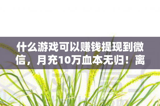什么游戏可以赚钱提现到微信,月充10万血本无归!离婚协议背后藏着让妻子崩溃的致命真相 什么游戏可以赚钱提现到微信,月充10万血本无归!离婚协议背后藏着让妻子崩溃的致命真相