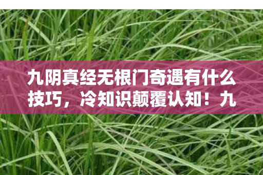 九阴真经无根门奇遇有什么技巧,冷知识颠覆认知!九阴真经无根门奇遇竟藏着目瞪口呆的秘密 九阴真经无根门奇遇有什么技巧,冷知识颠覆认知!九阴真经无根门奇遇竟藏着目瞪口呆的秘密