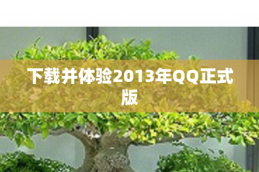 下载并体验2013年QQ正式版图片