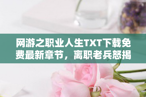 网游之职业人生TXT下载免费最新章节，离职老兵怒揭，网游方案竟藏500万隐情！拍桌瞬间吓你一跳