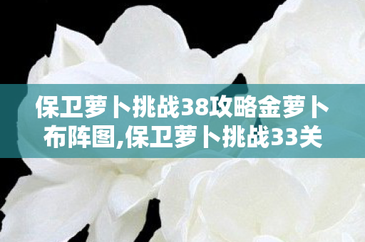保卫萝卜挑战38攻略金萝卜布阵图,保卫萝卜挑战33关全解析,金萝卜到手的高效布阵指南 保卫萝卜挑战38攻略金萝卜布阵图,保卫萝卜挑战33关全解析,金萝卜到手的高效布阵指南