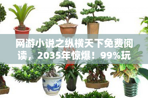 网游小说之纵横天下免费阅读,2035年惊爆!99%玩家不知的隐藏剧情,竟藏在这部网游小说里! 网游小说之纵横天下免费阅读,2035年惊爆!99%玩家不知的隐藏剧情,竟藏在这部网游小说里!
