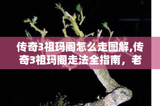 传奇3祖玛阁怎么走图解,传奇3祖玛阁走法全指南,老玩家亲测不迷路的通关技巧 传奇3祖玛阁怎么走图解,传奇3祖玛阁走法全指南,老玩家亲测不迷路的通关技巧