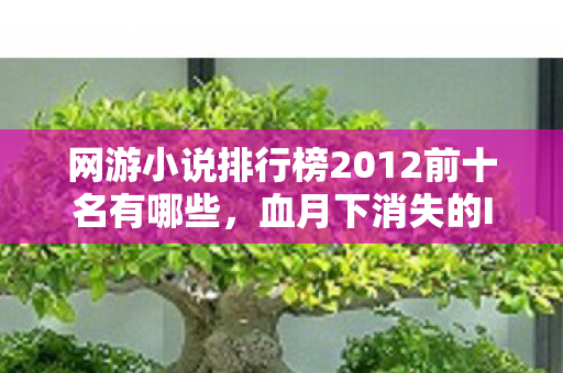 网游小说排行榜2012前十名有哪些，血月下消失的ID，网游排行榜第十的死亡代码悬案