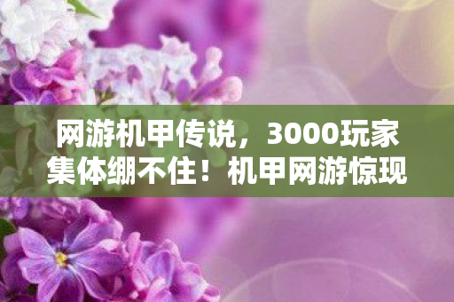 网游机甲传说，3000玩家集体绷不住！机甲网游惊现数据黑洞，老鸟萌新当场对线