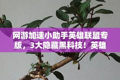 网游加速小助手英雄联盟专版，3大隐藏黑科技！英雄联盟加速助手竟藏着让99%玩家破防的真相