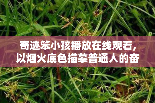 奇迹笨小孩播放在线观看,以烟火底色描摹普通人的奋斗史诗 奇迹笨小孩播放在线观看,以烟火底色描摹普通人的奋斗史诗