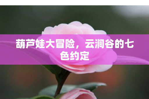 葫芦娃大冒险，云涧谷的七色约定