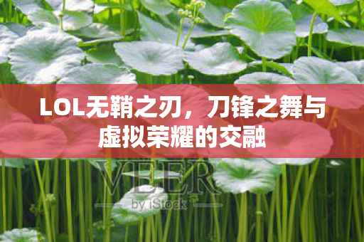 刀锋之舞与虚拟荣耀的交融图片