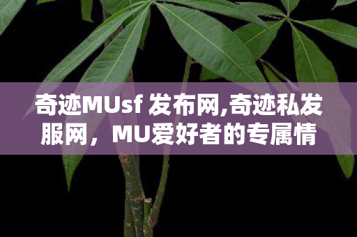 奇迹MUsf 发布网,奇迹私发服网，MU爱好者的专属情怀交流阵地