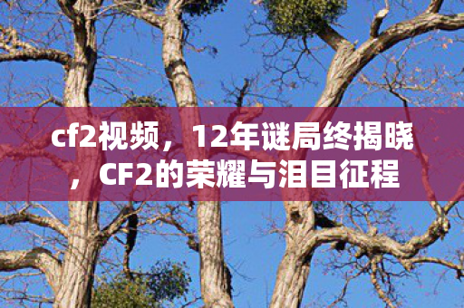 cf2视频,12年谜局终揭晓,CF2的荣耀与泪目征程 cf2视频,12年谜局终揭晓,CF2的荣耀与泪目征程