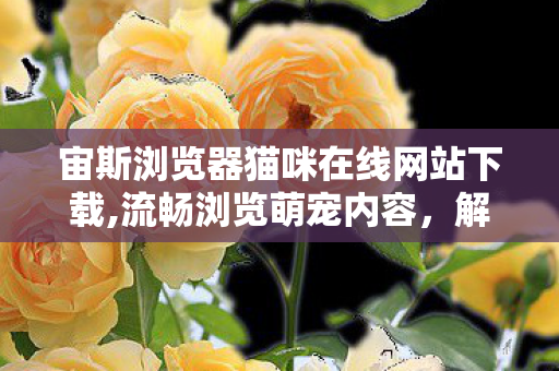 宙斯浏览器猫咪在线网站下载,流畅浏览萌宠内容,解锁治愈感拉满的云吸猫日常 宙斯浏览器猫咪在线网站下载,流畅浏览萌宠内容,解锁治愈感拉满的云吸猫日常