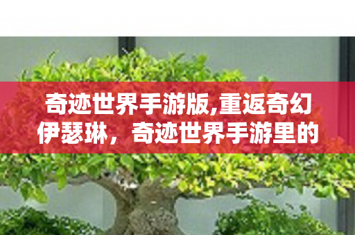 奇迹世界手游版,重返奇幻伊瑟琳，奇迹世界手游里的热血新旅程