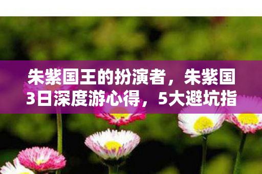 朱紫国王的扮演者，朱紫国3日深度游心得，5大避坑指南，解锁西游秘境新玩法！