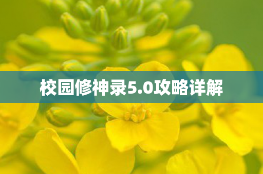 校园修神录5图片