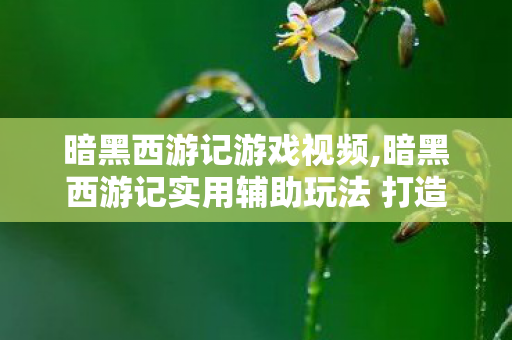 暗黑西游记游戏视频,暗黑西游记实用辅助玩法 打造轻松休闲的西游游玩体验