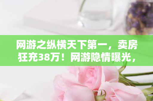 网游之纵横天下第一，卖房狂充38万！网游隐情曝光，老婆签离婚协议吓我一跳！