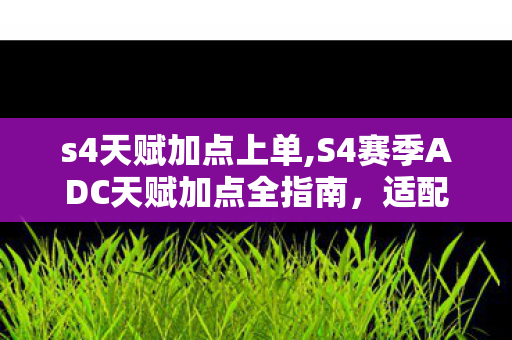 s4天赋加点上单,S4赛季ADC天赋加点全指南，适配不同输出定位的最优思路