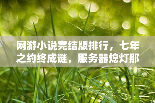 网游小说完结版排行，七年之约终成谜，服务器熄灯那刻泪目了
