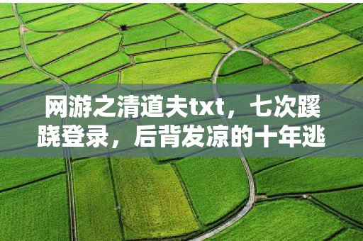 网游之清道夫txt，七次蹊跷登录，后背发凉的十年逃亡真相