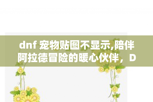 dnf 宠物贴图不显示,陪伴阿拉德冒险的暖心伙伴，DNF宠物的进化史与情怀记忆