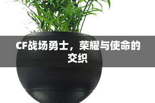 荣耀与使命的交织图片