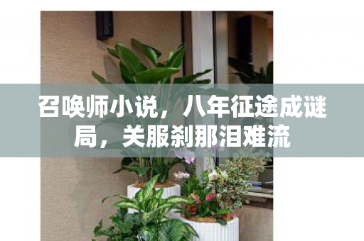 召唤师小说，八年征途成谜局，关服刹那泪难流
